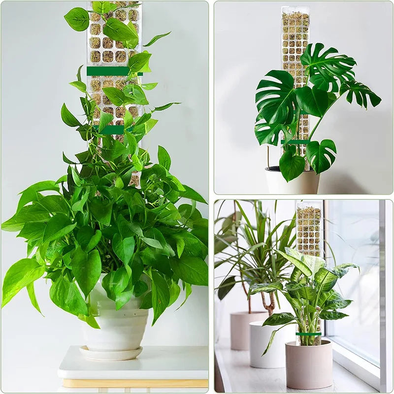 Moss Pole Plastic Plant Stand Indoor Climbing Plants Guardian Tutors Pot Moss Stick for Plants Growth Garden Support Accessories