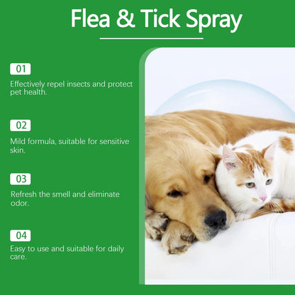 Yegbong Pet Insect Repellent Spray Daily Cleaning Dirts Promote Pet Skin Health anti Mite Flea Relief Discomfort Pet Care Spray